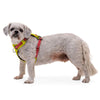 Ruffwear Hi & Light Lightweight Low-Profile Dog Harness (Lichen Green)