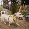 Ruffwear Hi & Light Lightweight Low-Profile Dog Harness (Lichen Green)
