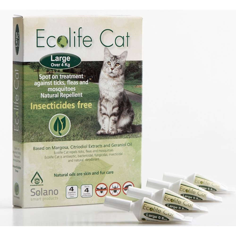 Illustration of Yard Cat Flea Control Solutions That Actually Work In Backyard