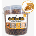 SuperGrubs Dried Mealworms Small Pet Food 400g - Kohepets