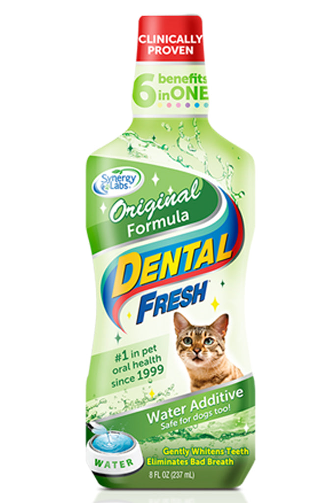 Synergy Labs Dental Fresh Cat Kohepets