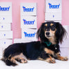 Treat Therapeutics Dog Microbiome Gut Test Kit