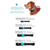 Zee.Dog Paisley Dog Collar - Kohepets