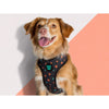 Zee.Dog Triangles Air Mesh Plus Dog Harness - Kohepets
