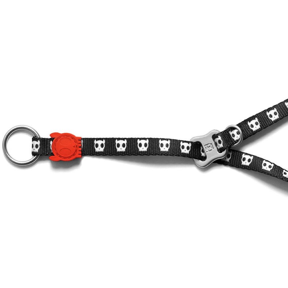 Skull Obedience Dog Collar Kohepets