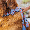 Zee.Dog Wasabi Bow Tie - Kohepets