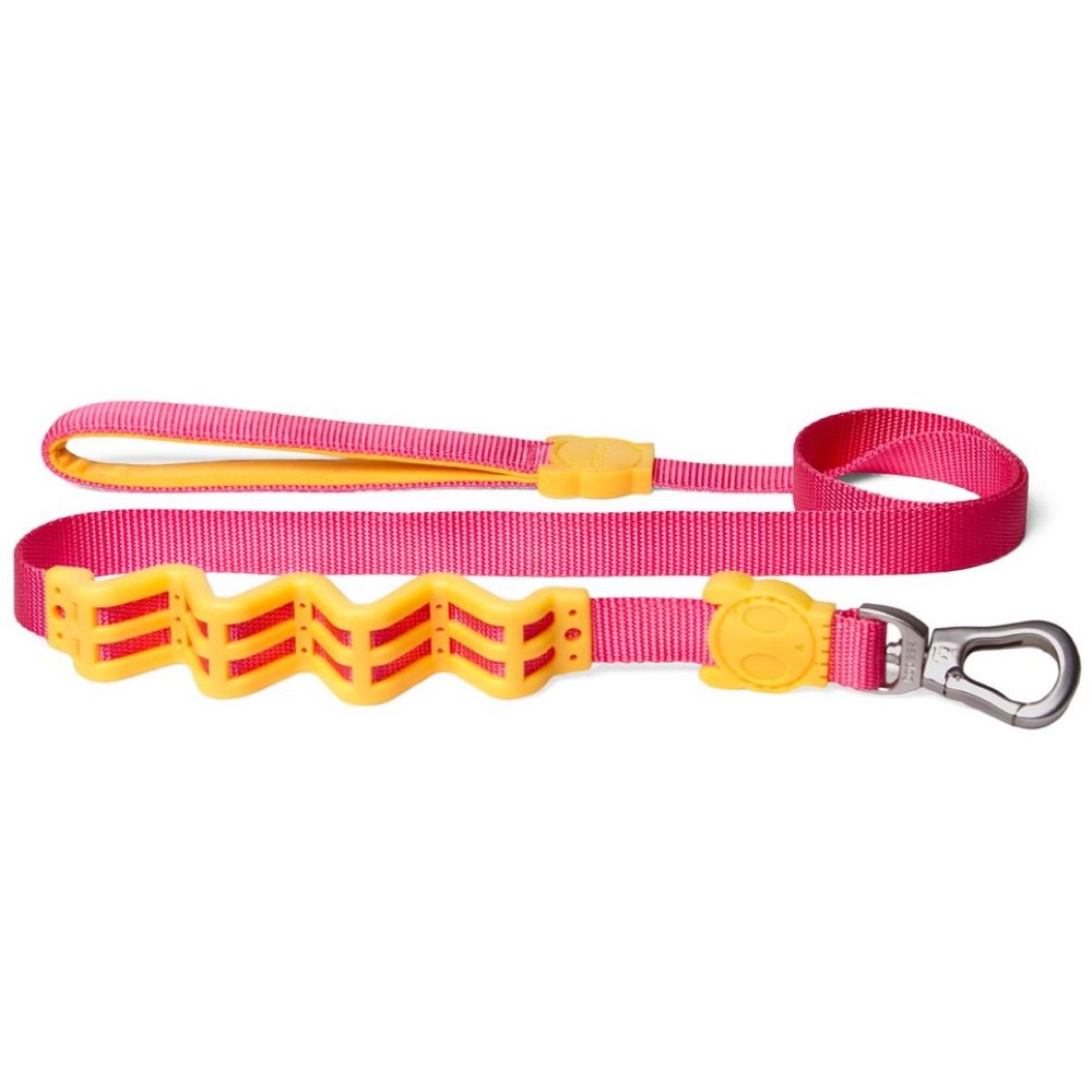 Birdie RUFF Shock Absorbent Dog Leash Kohepets