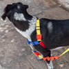 20% OFF: Zee.Dog Soft-Walk Dog Harness (Puzzle) - Kohepets