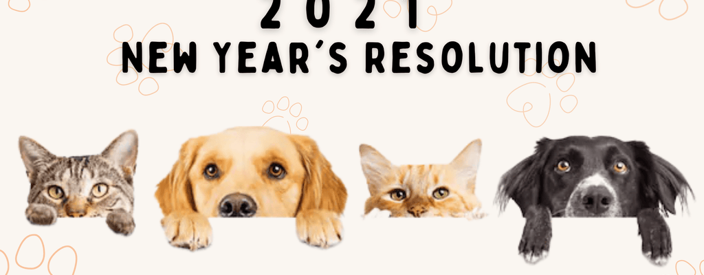 2021 New Year’s Resolutions For Pets? — We can help you!