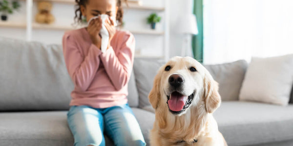 Pet Allergies — Causes, Symptoms, Treatment & Tips!