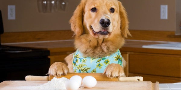 The Benefits Of Home Cooking For Your Dog