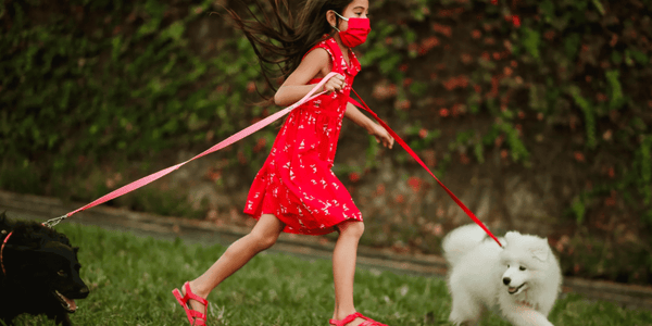 Covid-19: Keeping your family and furkids safe