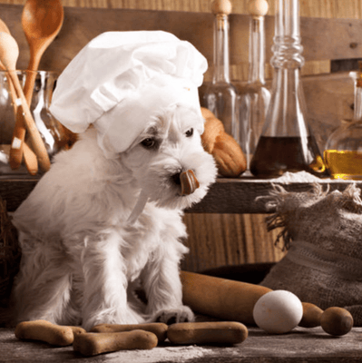 Allergy Friendly Homemade Dog Food & Dog Treats