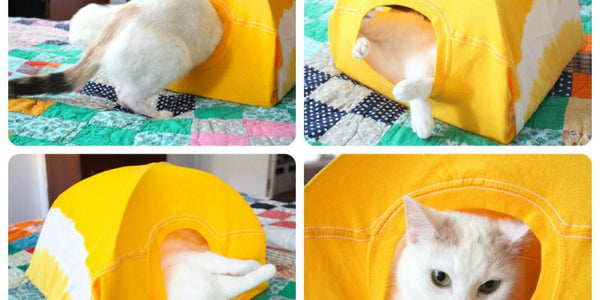 Ideas for D.I.Y Cat Toys