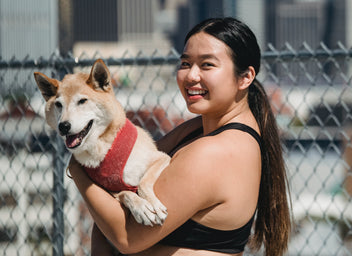 Best Dog Collars & Harnesses of 2023