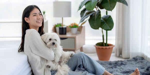 HDB Approved Dogs: Your Complete Guide to Choosing a Canine Companion in 2026