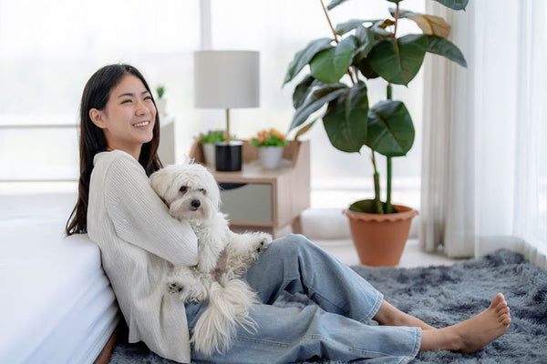 HDB Approved Dogs: Your Complete Guide to Choosing a Canine Companion in 2026