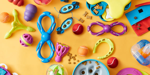 Cleaning Pet’s Toys: How To Do It The Right Way?