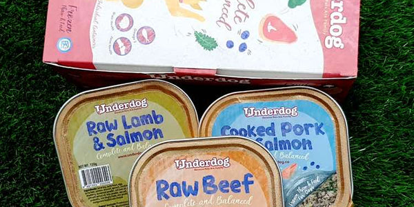 Proper Dog Nutrition – The Basics