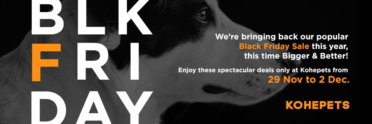 Black Friday Sale