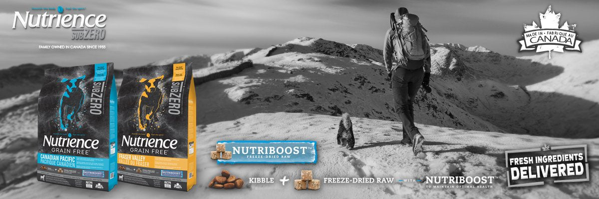Nutrience Dog Food