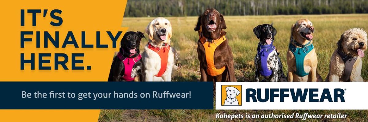 Ruffwear Dog Harness, Collar & Accessories