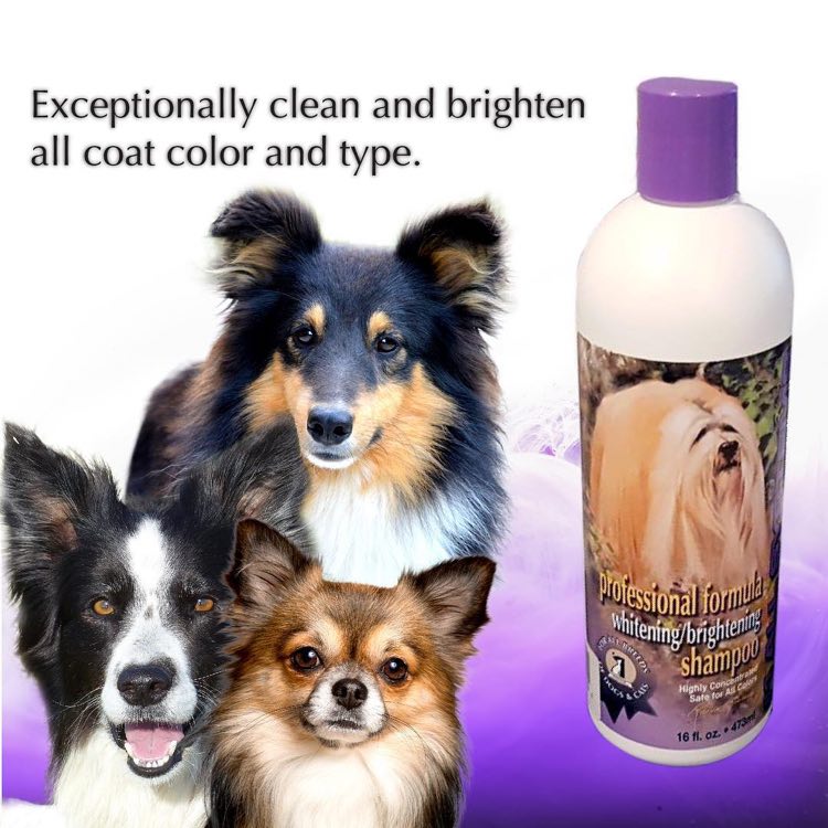 #1 All Systems Professional Pet Shampoos