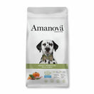 Amanova Digestive Rabbit Grain-Free Adult Dry Dog Food