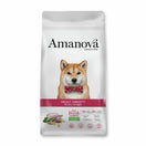 Amanova Obesity Turkey Adult Dry Dog Food