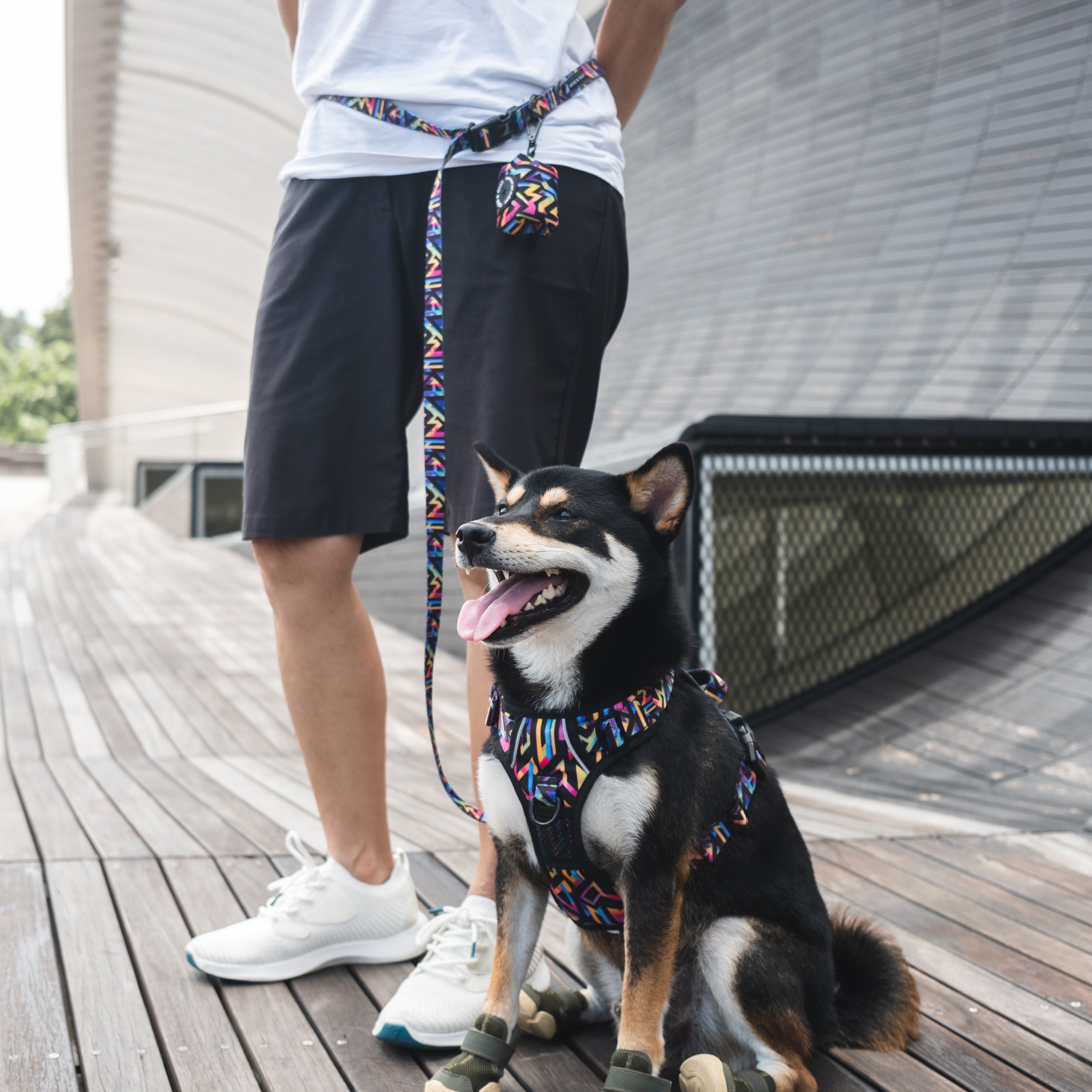 Boss & Olly Convertible Dog Leash — Say Hello To Hands-Free Walks!