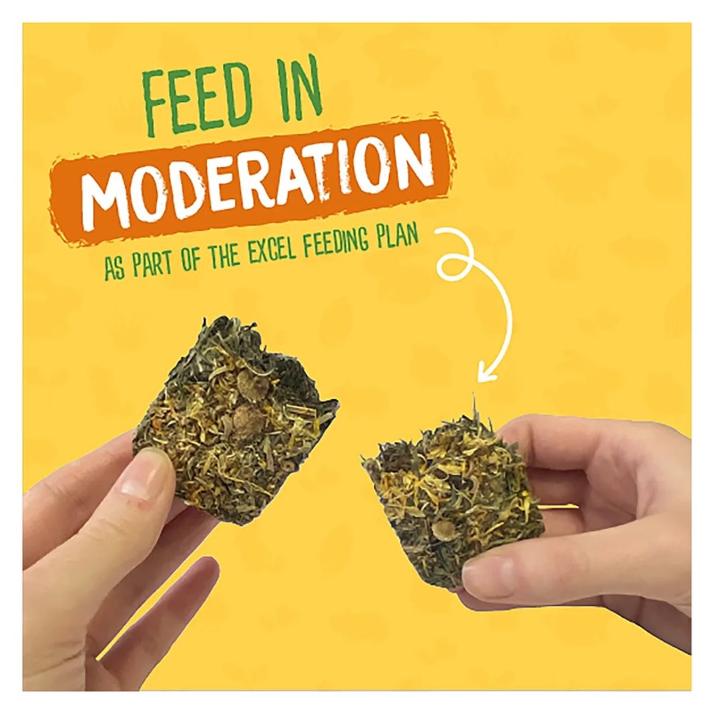 10% OFF: Burgess Excel Nature Snacks Forage & Feast Bar With Marigold Treat For Small Animals 60g