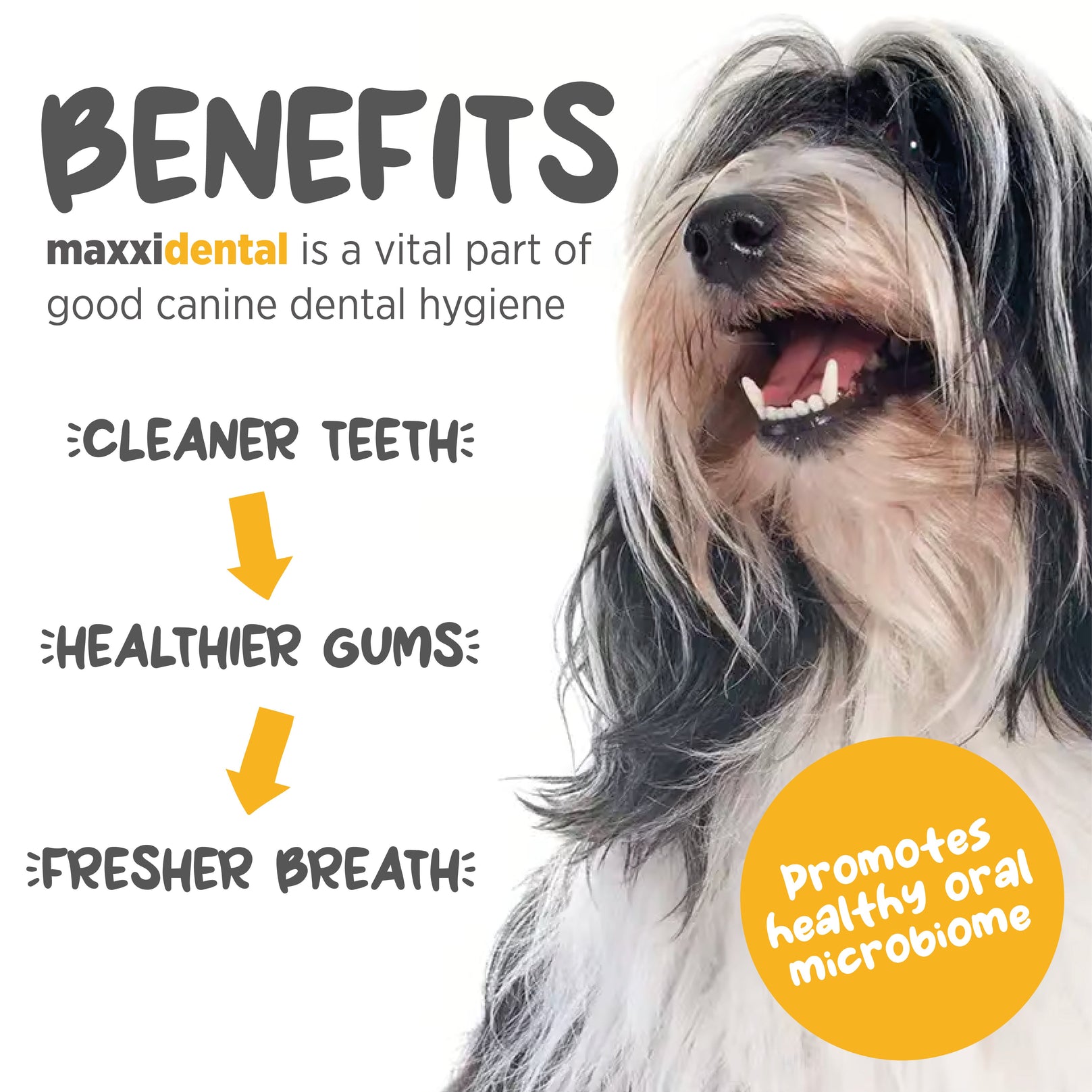 Maxxipaws MaxxiDental Oral Support Supplement For Dogs 140g