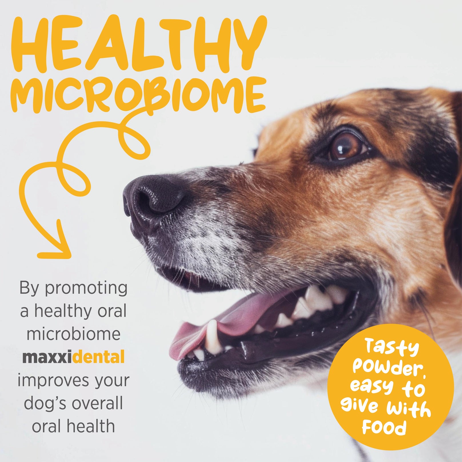 Maxxipaws MaxxiDental Oral Support Supplement For Dogs 140g