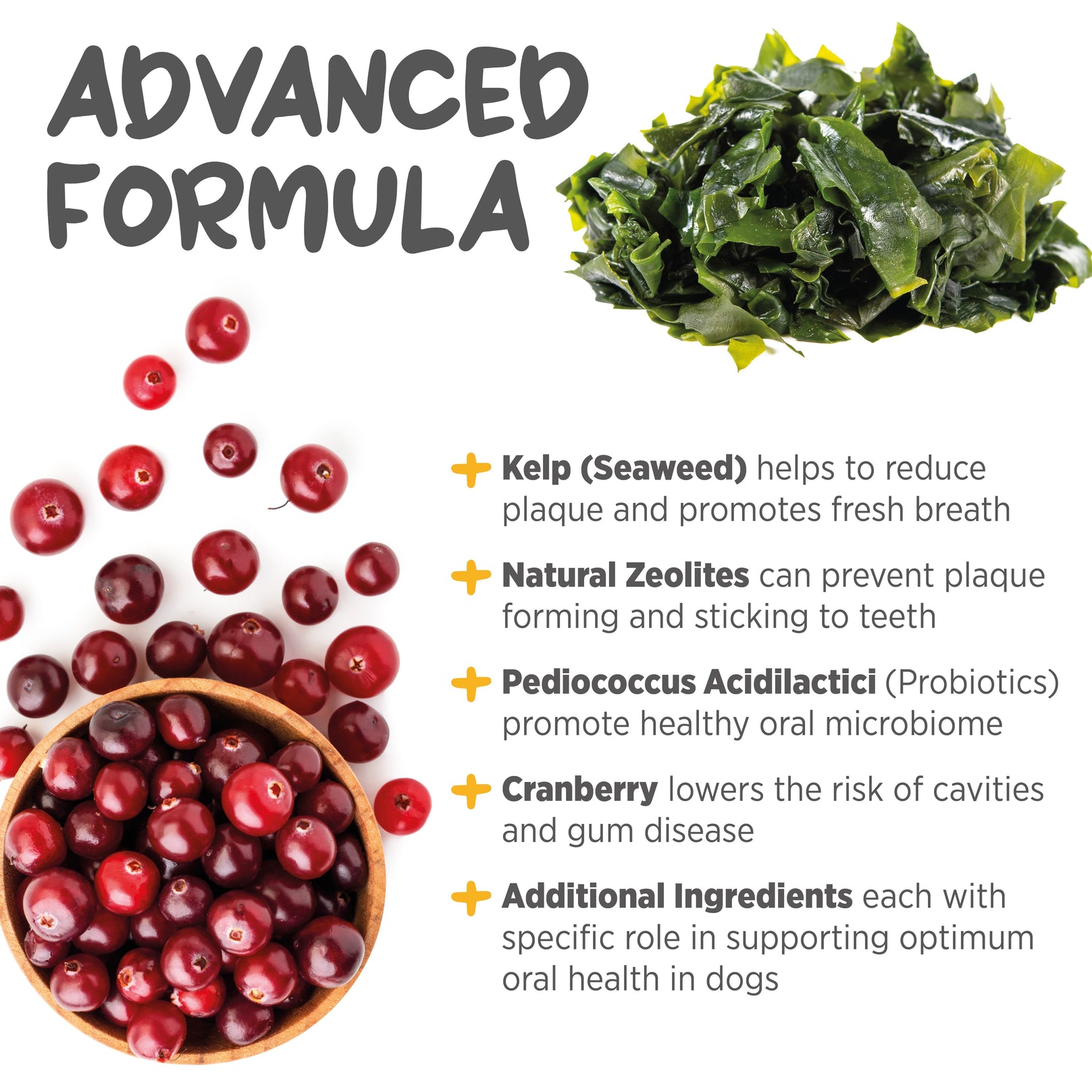 Maxxipaws MaxxiDental Oral Support Supplement For Dogs 140g