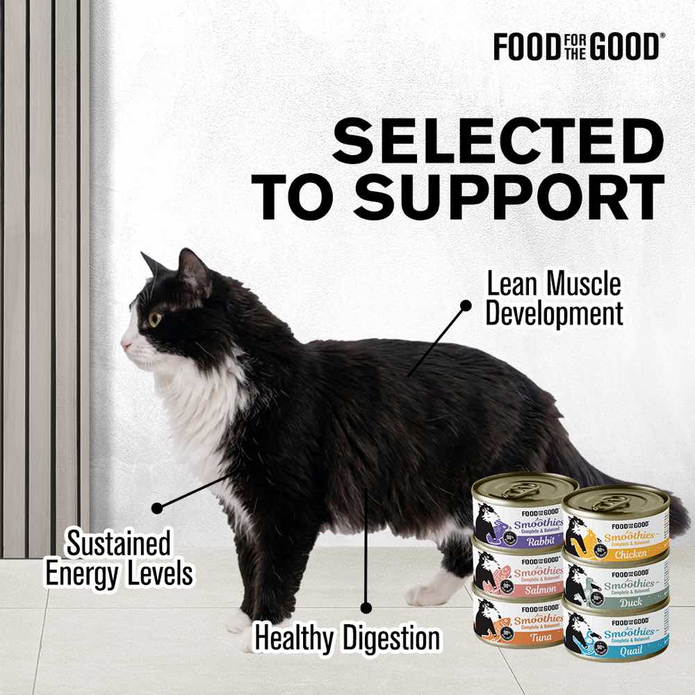 'TRIAL SPECIAL $1.50 OFF (1 per order)': Food For The Good Smoothies Quail Complete & Balanced Canned Cat Food 80g