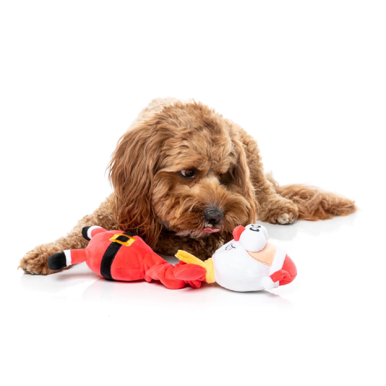 FuzzYard Dog Plush Toy Christmas - Saint Neckolas