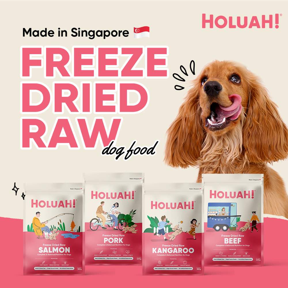 FREE SAMPLE (1 per order): Holuah Beef Freeze-Dried Raw Dog Food