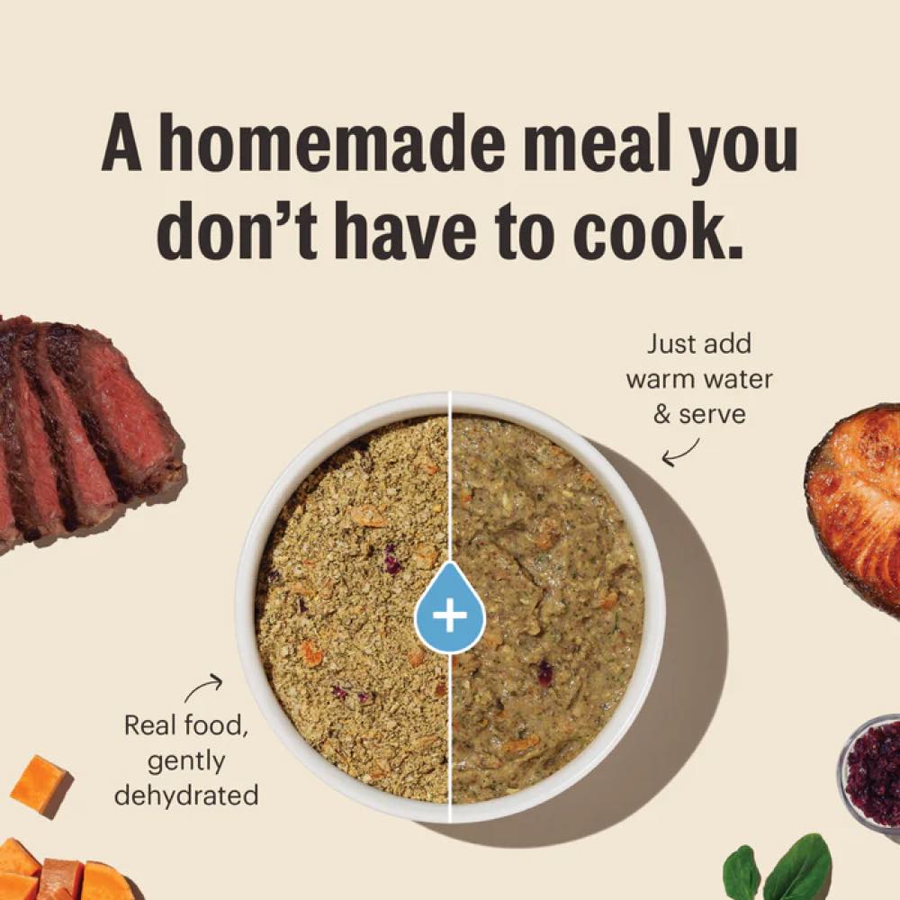 The Honest Kitchen Marvel Limited Ingredient Turkey Recipe Dehydrated Dog Food