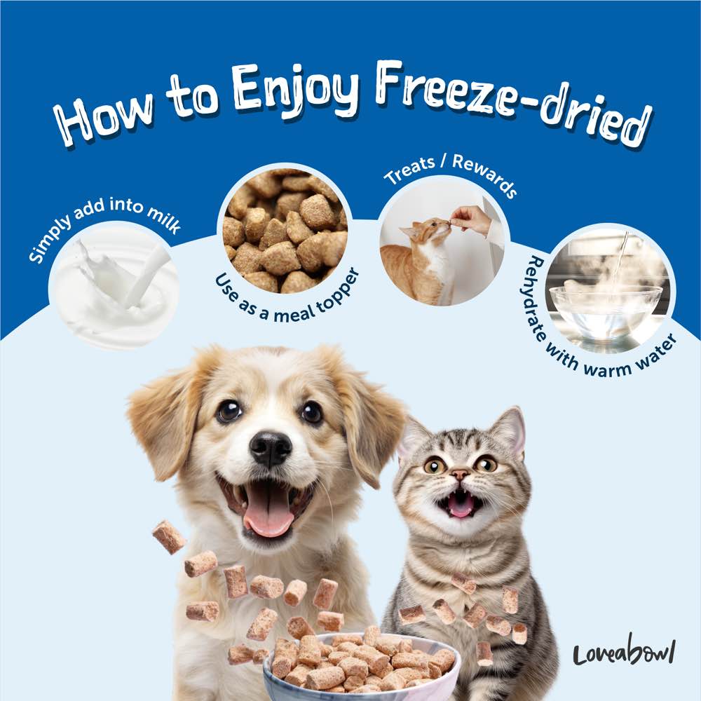 'Trial Special 22% OFF (Exp17Dec26)': Loveabowl Freeze-A-Bowl Grain-Free Freeze-Dried Raw Cat Food 85g