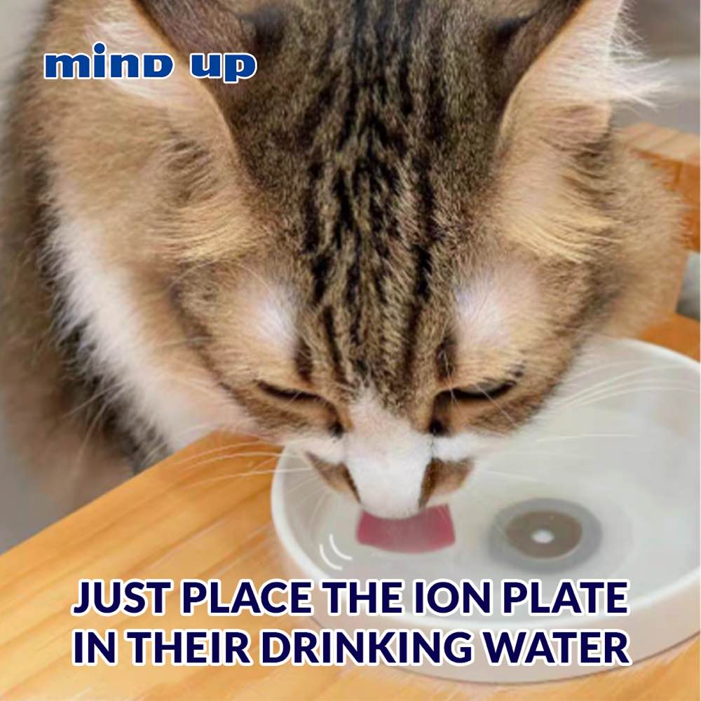 10% OFF: Mind Up Kenko Care Ion Plate For Dogs