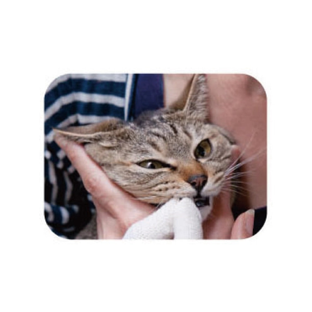 10% OFF: Mind Up Nyanko Care Fingers Toothbrush For Cats