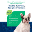 15% OFF: NaturVet Advanced Probiotics & Enzymes Soft Chew Supplement For Dogs 70chews