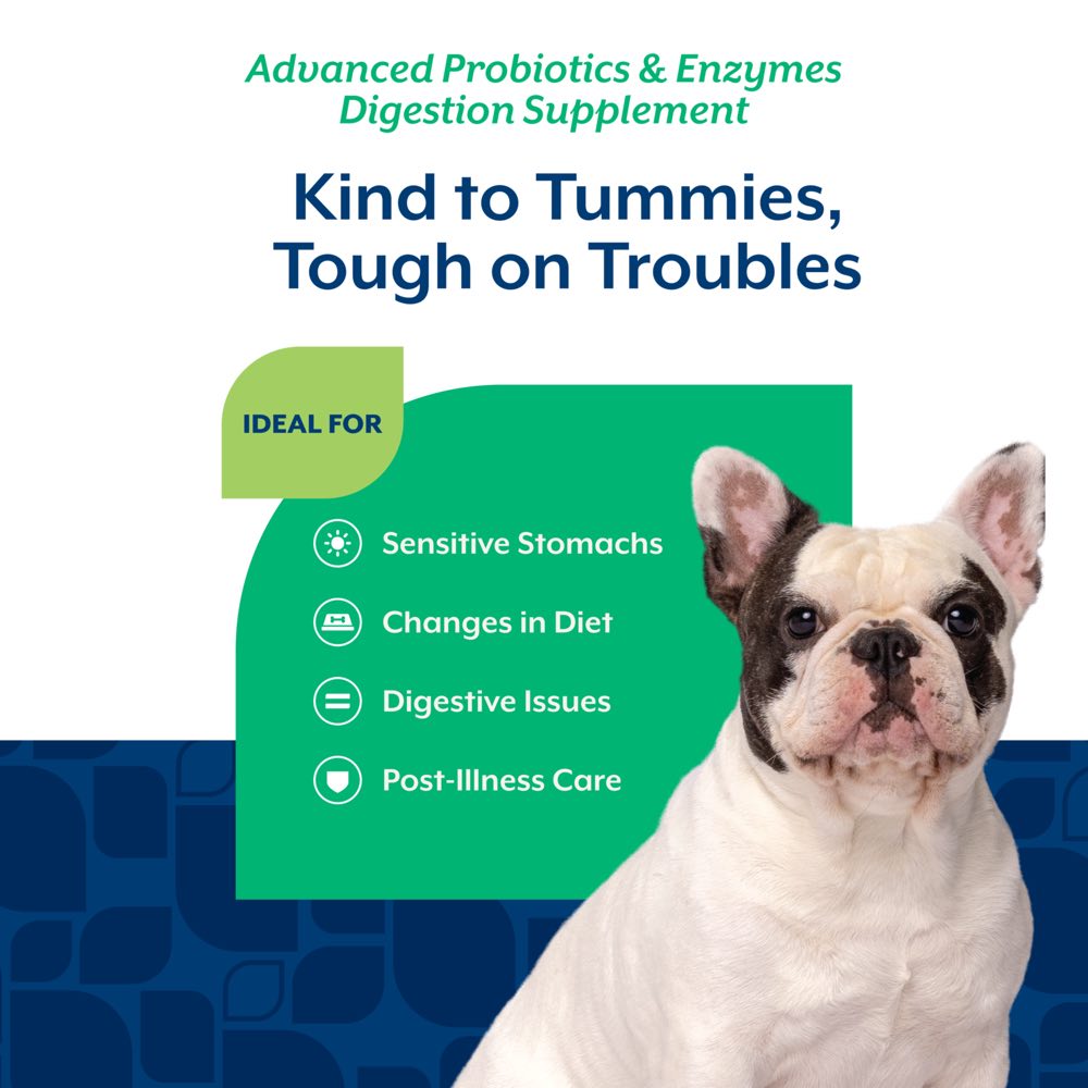 15% OFF: NaturVet Advanced Probiotics & Enzymes Soft Chew Supplement For Dogs 70chews
