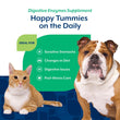 15% OFF: NaturVet Digestive Enzymes Plus Pre & Probiotics Powder Supplement For Dogs & Cats 8oz - Kohepets