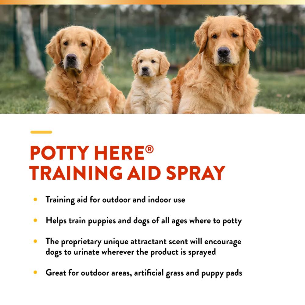 15% OFF: NaturVet Potty Here Training Aid Spray 8oz
