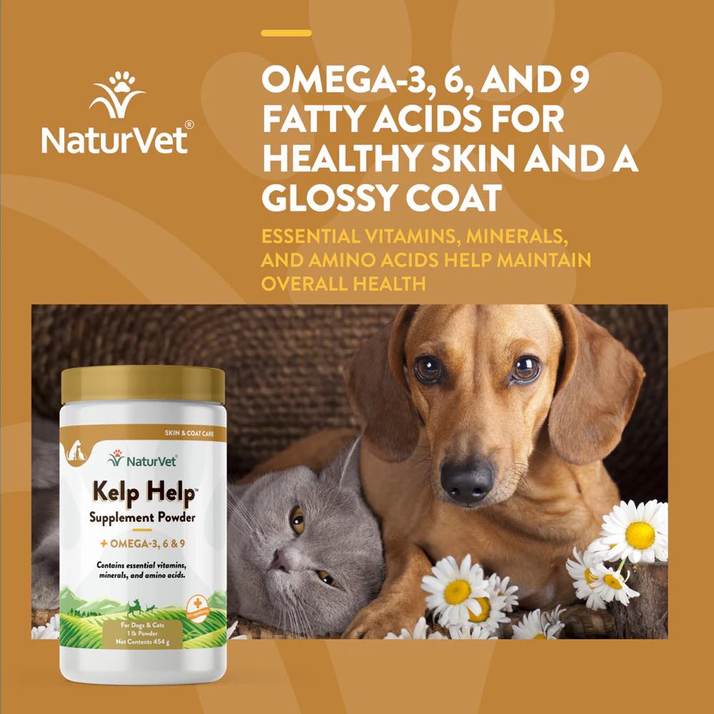 15% OFF: NaturVet Kelp Help Mineral & Vitamin Plus Omegas Supplement Powder for Dogs & Cats 1lb