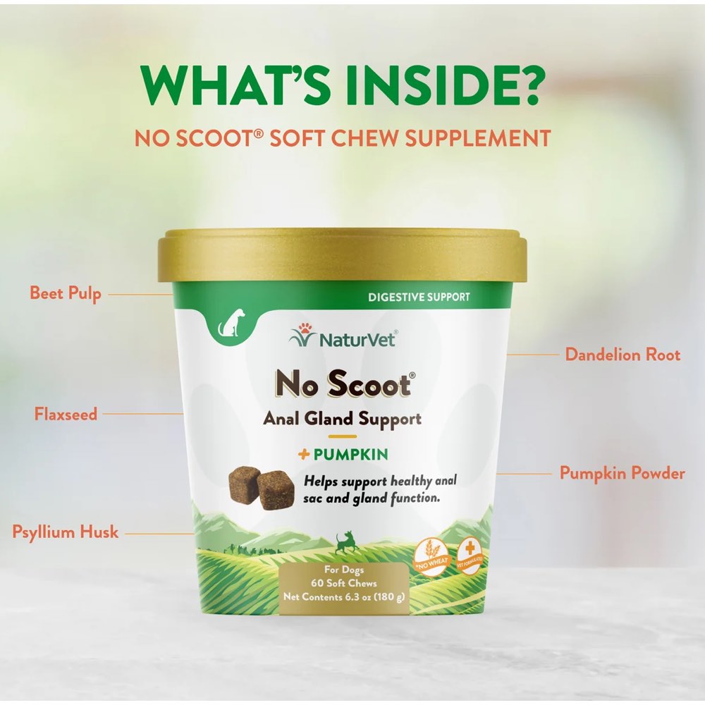 18% OFF: NaturVet No Scoot Plus Pumpkin Anal Gland Support Supplement For Dogs