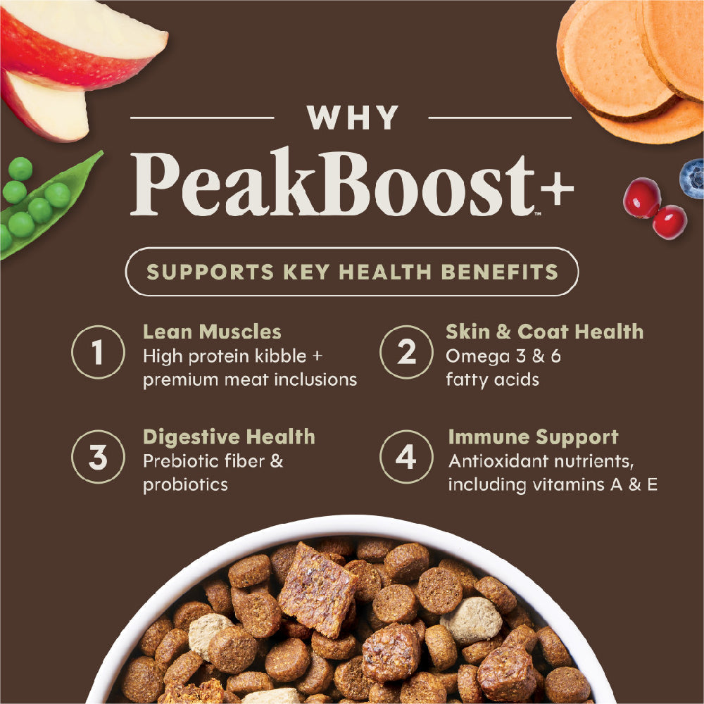 Instinct Peak Boost Grain-Free High-Protein Real Salmon Dry Dog Food