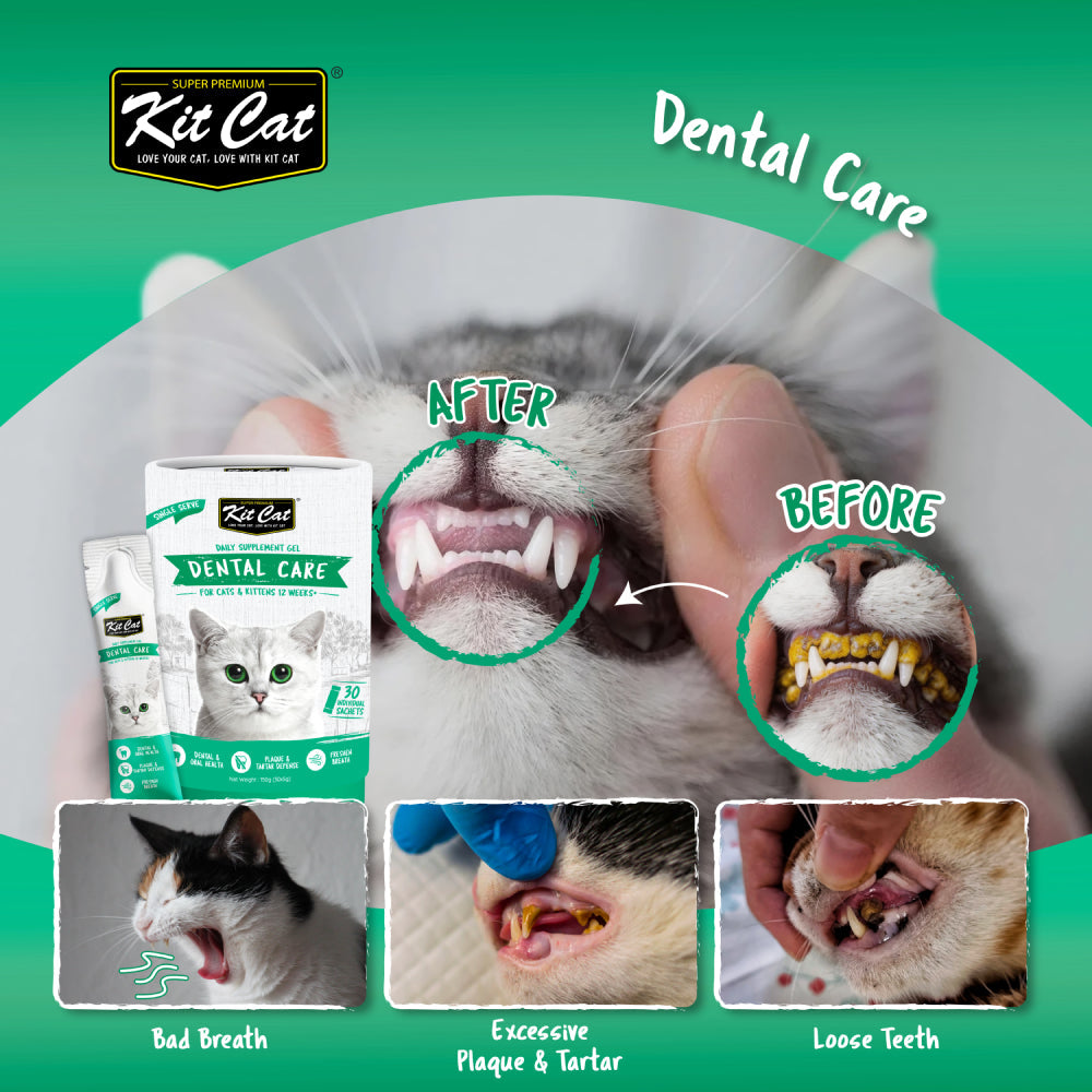 Kit Cat Daily Dental Care Supplement Gel For Cats (30 x 5g)