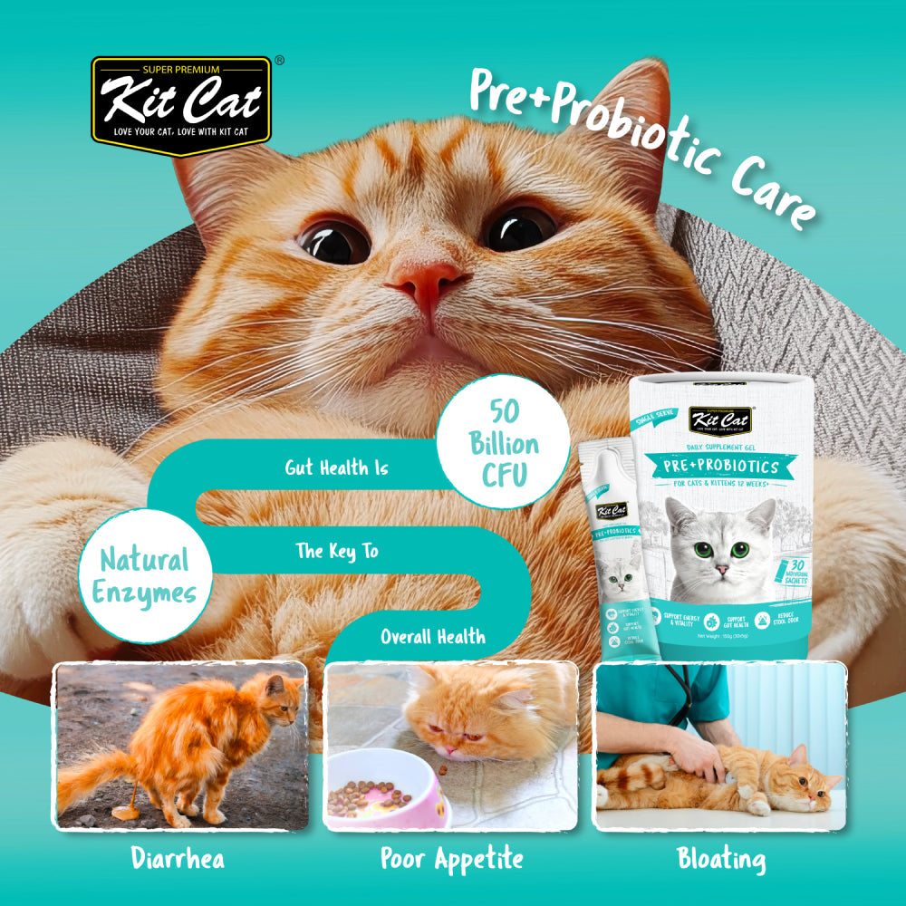 Kit Cat Daily Pre+Probiotics Supplement Gel For Cats (30 x 5g)
